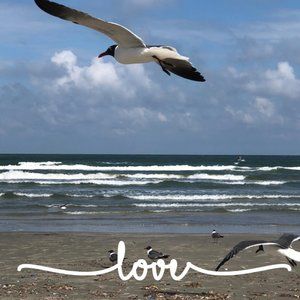 Meet your Posher, Judy